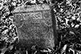 At Rest 14